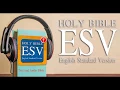 ESV Holy Bible Study Bible
