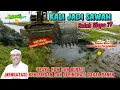 Download Lagu Lima kali petani gagal panen karena kekeringan‼️Normalisasi kali mati Putat