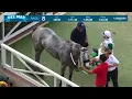 Green Zone wins race 8 at Del Mar 26