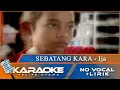 Download Lagu (Karaoke Version) - SEBATANG KARA - Ija | No Vocal - Minus One