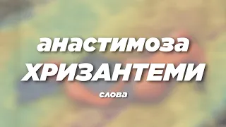 анастимоза Хризантеми Lyrics 