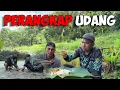 Download Lagu Catch and Cook Fish with Bamboo Fishtrap | Bushcraft River Life