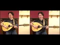 Meet The Instruments Mandocello