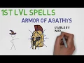 1ST LEVEL SPELL Armor of Agathys 5E