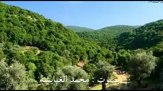 ساق الله زمان أول كلمات نبيل عماري بصوت محمد الغبابشة 