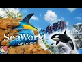 Seaworld Orlando RIDES ATTRACTIONS