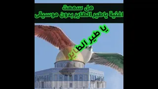 هل سمعت اغنية يا طير الطاير بدون موسيقى 