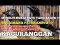 Lagu CARA MEMILIH MURAI BATU DENGAN PATOKAN KATURANGGAN