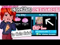 Catching SCAMMERS In Royale High Omg