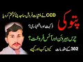 Lagu Patoki CCD ne manshiat faroosh Sajid Chitta ko khatam ker dia. 302 k muqadmaat. Kyu, kab or kaisy?