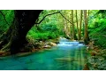 Download Lagu Instrumental Hymns | Harp, Piano, Strings, \u0026 Orchestra