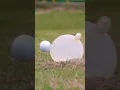 These balloons can stop anything 🏌🏻‍♂️#shorts #slowmotion