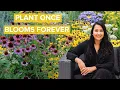 Download Lagu 15 Perennial Flowers That Will Transform Your Garden (All Season Long!)