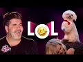 FUNNIEST Animal Auditions That Made Simon Cowell LOL