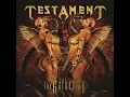 Down for Life - Testament