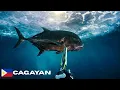 Download Lagu 🎰JACKPOT TULOY GIANT TREVALLY SA JURASSIC SPOT NG PINAS 🇵🇭#spearfishingphilippines #mamaw #fishing 