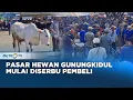 Download Lagu Harga Stabil, Pasar Gunungkidul Dipadati Pembeli Hewan Kurban