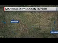 Man killed by dogs in Snyder investigation underway