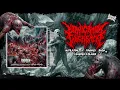 Download Lagu FORNICATION EXCREMENT - MUTILATING A CRUSHED BODY COVERED IN BLOOD [SINGLE] (2023) SW EXCLUSIVE