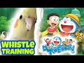 Download Lagu Training to Teach Cockatiel to Sing Doraemon's Song | Turn Your Bird into a Charming Singer! 🐦🎶🦜