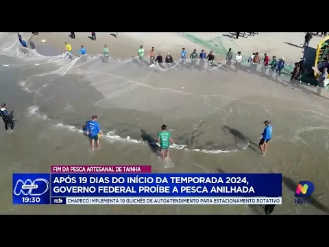 Temporada 2024: pesca da tainha anilhada chega ao fim em Santa Catarina