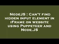 NodeJS Can t find hidden input element in iFrame on website using Puppeteer and Node JS