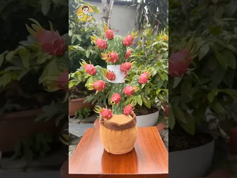 Học cách trồng thanh long