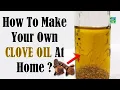 How To Make Your Own Clove Oil At Home
