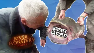 The BIGGEST CATCHES Part 1 COMPILATION River Monsters