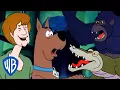 Download Lagu Scooby-Doo Where Are You! | Animal Encounters 🐊 | 10 Minutes of CLASSIC Cartoons! | WB Kids