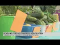 Deadline for SC families to verify mailing addresses for pandemic-EBT benefits is Thursday