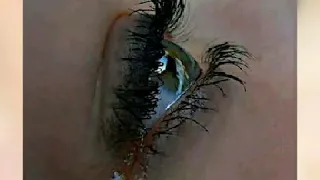 علمتني معني الحياة الفنان تامر صحافه 