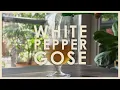 Download Lagu WHITE PEPPER GOSE RECIPE - Brew Diary