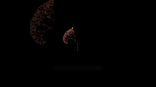 Amazing Fractal Tree Design Using Python Turtle Python Tutorial