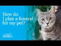 How do I plan a funeral for my pet