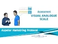 2 Assessment - Visual Analogue Scale
