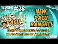 ONI Pacu Ranch 3-in-1 Beginner-Friendly Stable FansGame-k7k
