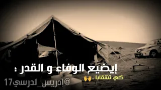 الشاعر محمد اللافي ي العقل ما نحسابه 