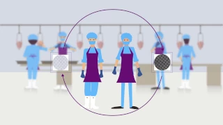 Food Production Careers - Shoes For Crews Europe Ltd