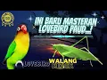 Lagu Masteran Lovebird Ngekek Panjang Dan Walang Kecek Speed Lambat