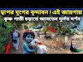 Download Lagu দ্বাপর যুগের বৃন্দাবন | কৃষ্ণ জায়গায় আসতেন গাভী চড়াতে দুর্লভ দর্শন |  গাছতলা বাবাজির কুটিরা 