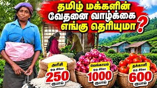வேதனை வாழ்க்கை ஒரு கிலோ அரிசி ₹250 | வெங்காயம் ₹1000 | தக்காளி ₹600 எங்கு தெரியுமா ? Sri Lanka Tour