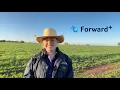 AuctionsPlus Introducing Forward