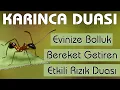 Download Lagu Karınca duası dinle Bereket Rızık duası dinle 99 Kere ( Evinize Bol Rızık için KARINCA DUASI )