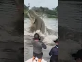 Download Lagu Giant Catfish Caught by Angler! 🦭🐟🐲🐙 #giantcreature #derpseafishing