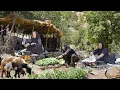 Download Lagu Mix of Traditional Village Cooking of IRAN | Nomadic Life style