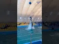 Pelatih lumba-lumba ini menunjukan skill luar biasa ☠️ #shortsviral #viralvideo #lumbalumba