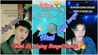 Download Dj Anjing Anjing Banget Remix || Yang Lagi Viral di Tiktok MP3