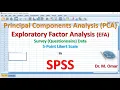 How to do Principal Components Analysis PCA and Exploratory Factor Analysis EFA in SPSS