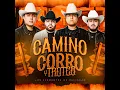 Camino Corro Y Troteo - Los Elementos De Culiacan